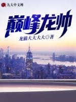 巔峰龍帥