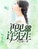 指尖繡愛：再見許先生
