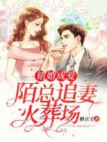 錯婚成愛：陌總追妻火葬場