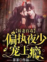 嬌妻有毒：偏執(zhí)夜少寵上癮