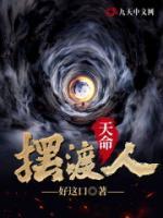 天命擺渡人