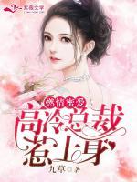 燃情蜜愛：高冷總裁惹上身