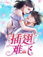 插翅難飛