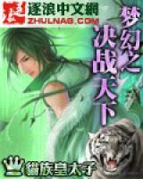 夢幻之決戰(zhàn)天下