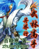 武林高手異界行