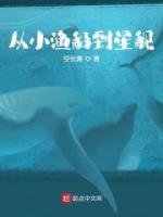 從小漁船到星艦