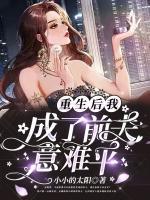 重生后我成了前夫意難平
