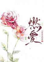 燃愛(ài)