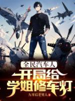 全民汽車人：開局給學(xué)姐修車燈