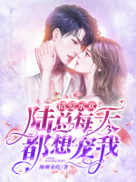 錯(cuò)愛(ài)承歡：陸總每天都想寵我