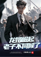 龍婿崛起，老子不伺候了