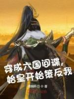 穿成六國間諜，始皇開始策反我