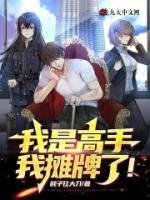 我是高手，我攤牌了！