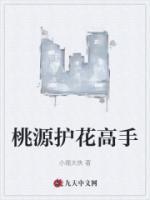 桃源護花高手