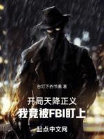 開局天降正義，我竟被FBI盯上
