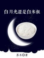 白月光還是白米飯