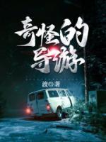 奇怪的導(dǎo)游