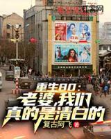 重生80：老婆，我們真的是清白的