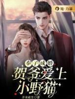 奉子成婚：賀爺愛(ài)上小野貓