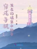 穿成手機(jī)：男友的破案小助手