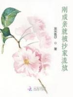 剛成親就被抄家流放