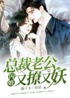 閃婚，總裁老公又撩又妖
