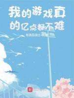我的游戲真的億點都不難