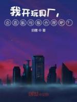 我開玩具廠，會造航母很合理吧？
