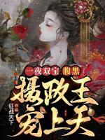 一夜雙寶，腹黑攝政王寵上天