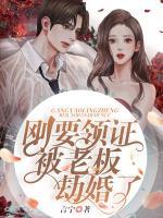 剛要領(lǐng)證被老板劫婚了