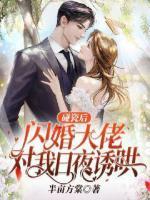 碰瓷后，閃婚大佬對(duì)我日夜誘哄