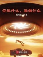 你說什么，我做什么