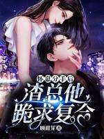 懷崽分手后，渣總他跪求復(fù)合