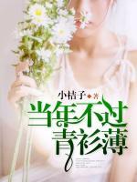 當(dāng)年不過青衫薄