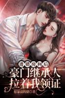 進(jìn)錯(cuò)房間后，豪門繼承人拉著我領(lǐng)證