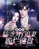 離婚后，陸爺為了追妻跪爛鍵盤