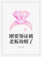 剛要領(lǐng)證被老板劫婚了