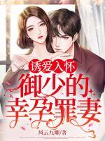誘愛入懷：御少的幸孕罪妻