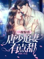 一夜驚喜：唐少追妻有點(diǎn)甜