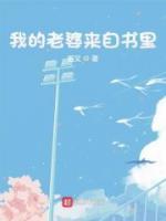 我的老婆來自書里
