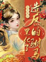 公主死后，造反的駙馬黑化了