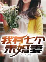我有七個(gè)未婚妻