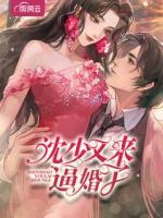 沈少又來逼婚了
