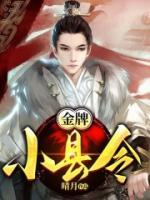 金牌小縣令
