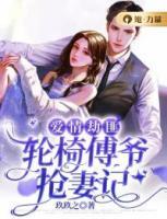 愛情劫匪：輪椅傅爺搶妻記