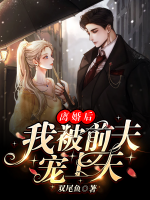 離婚后，我被前夫?qū)櫳咸?>
                    <a href=