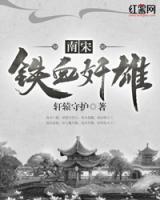 南宋鐵血奸雄