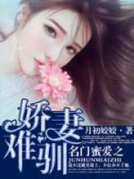 名門蜜愛之嬌妻難馴
