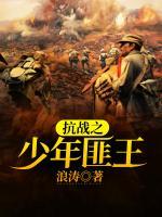 抗戰(zhàn)之少年匪王
