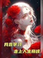 我靠學(xué)習(xí)走上人生巔峰